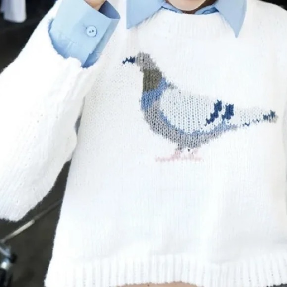 DISO JAMIE LERNER X EMMA CHAMBERLAIN X WARBY PARKER PIGEON SWEATER DO NOT BUY!!! - Picture 4 of 4